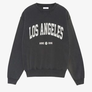 Anine Bing sweatshirt